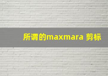 所谓的maxmara 剪标